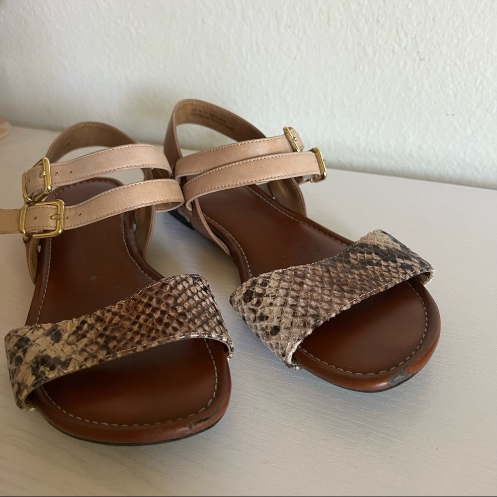 Clarks | Indira Rue Python Sandals - Picture 2 of 7